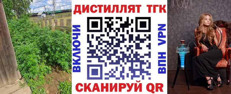 Купить где  Сенгилей  ТГК THC oil 